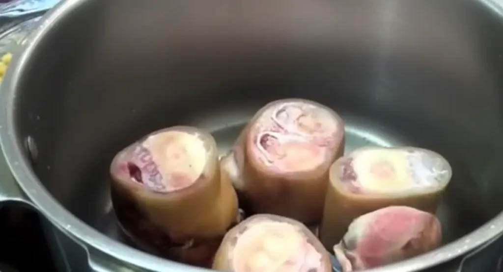 Raw calf trotters placed bone-side down at the bottom of a stainless steel pressure cooker, the first step in making authentic Hargma tagine food.
