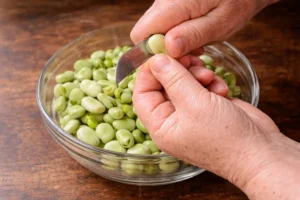 Hands lightly scoring fresh fava beans with a small knife before cooking a Vegetarian Tagine Recipe