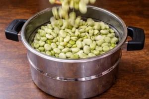 Fresh fava beans steaming in a couscoussier until partly cooked for a Vegetarian Tagine Recipe